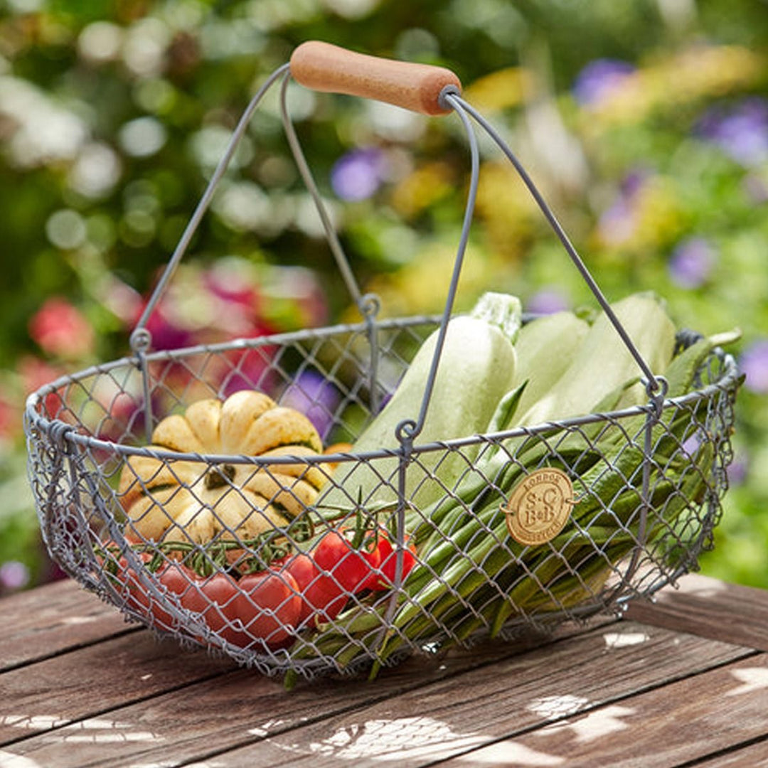 Outdoor & Garden